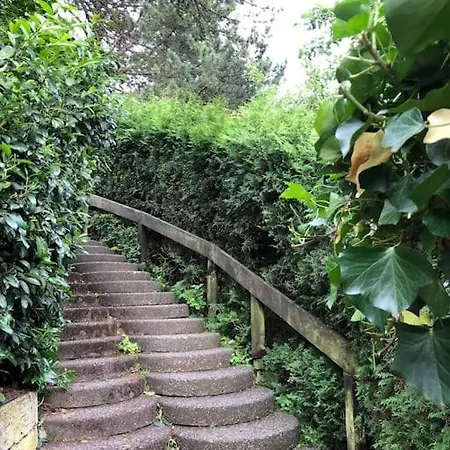 Kiefer - Ruheoase Mitten Im Gruenen Apartamento *