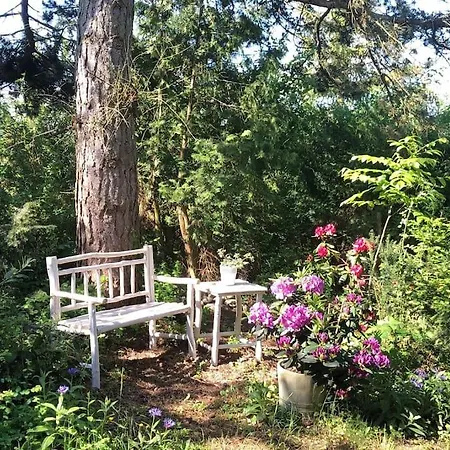 Kiefer - Ruheoase Mitten Im Gruenen Apartamento *