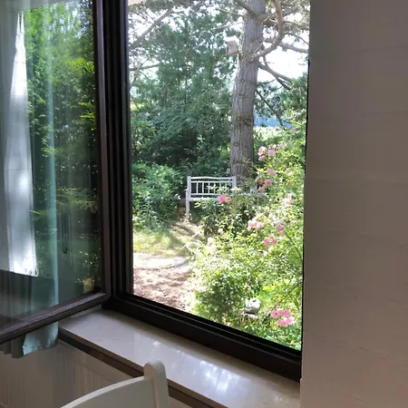 Kiefer - Ruheoase Mitten Im Gruenen Apartamento